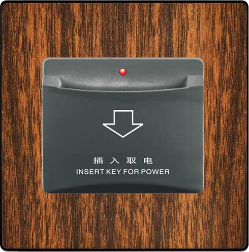 A5-86-21 插卡取电